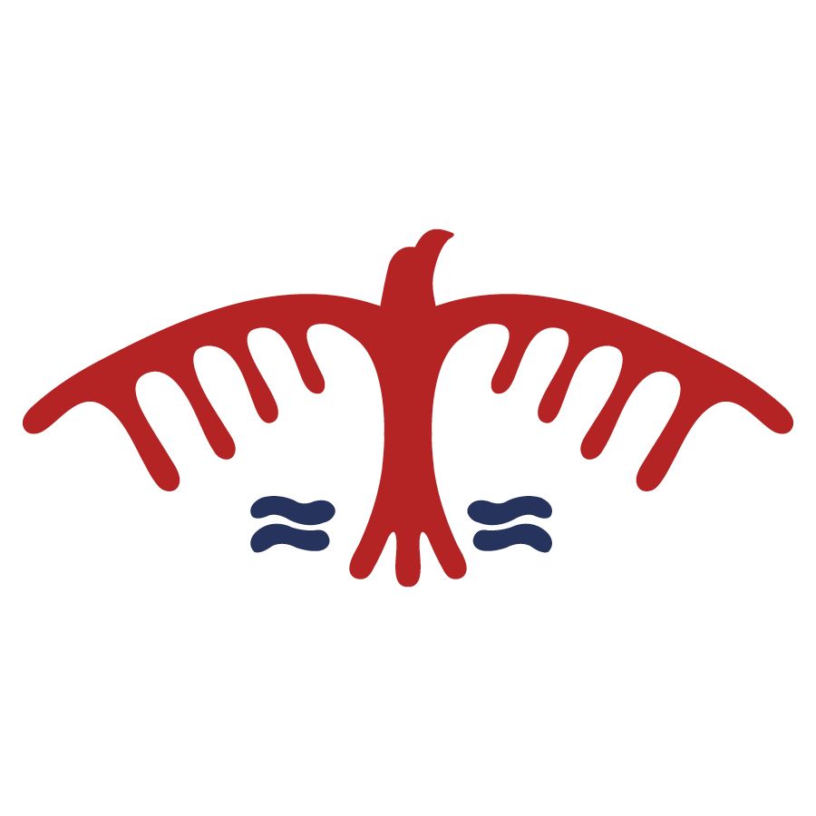 Thunderbird logo